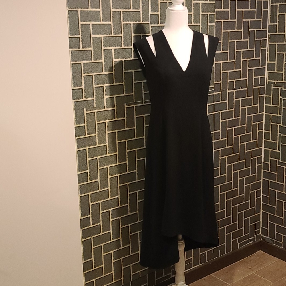 Halston Heritage dress